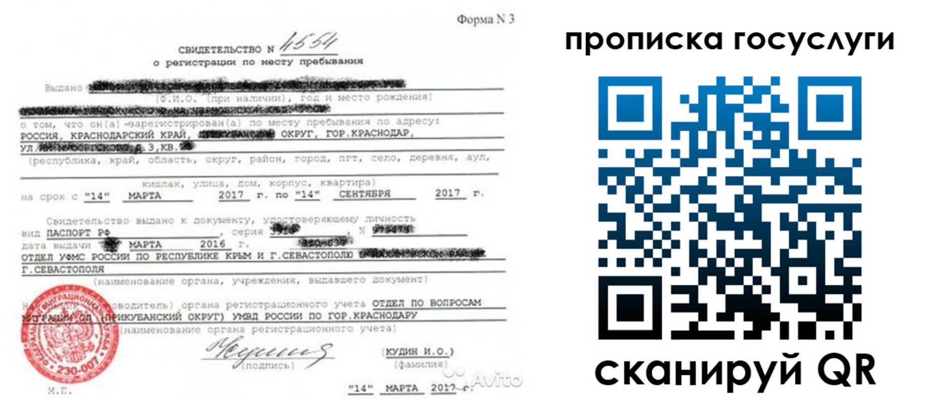 купить прописку в Новороссийске